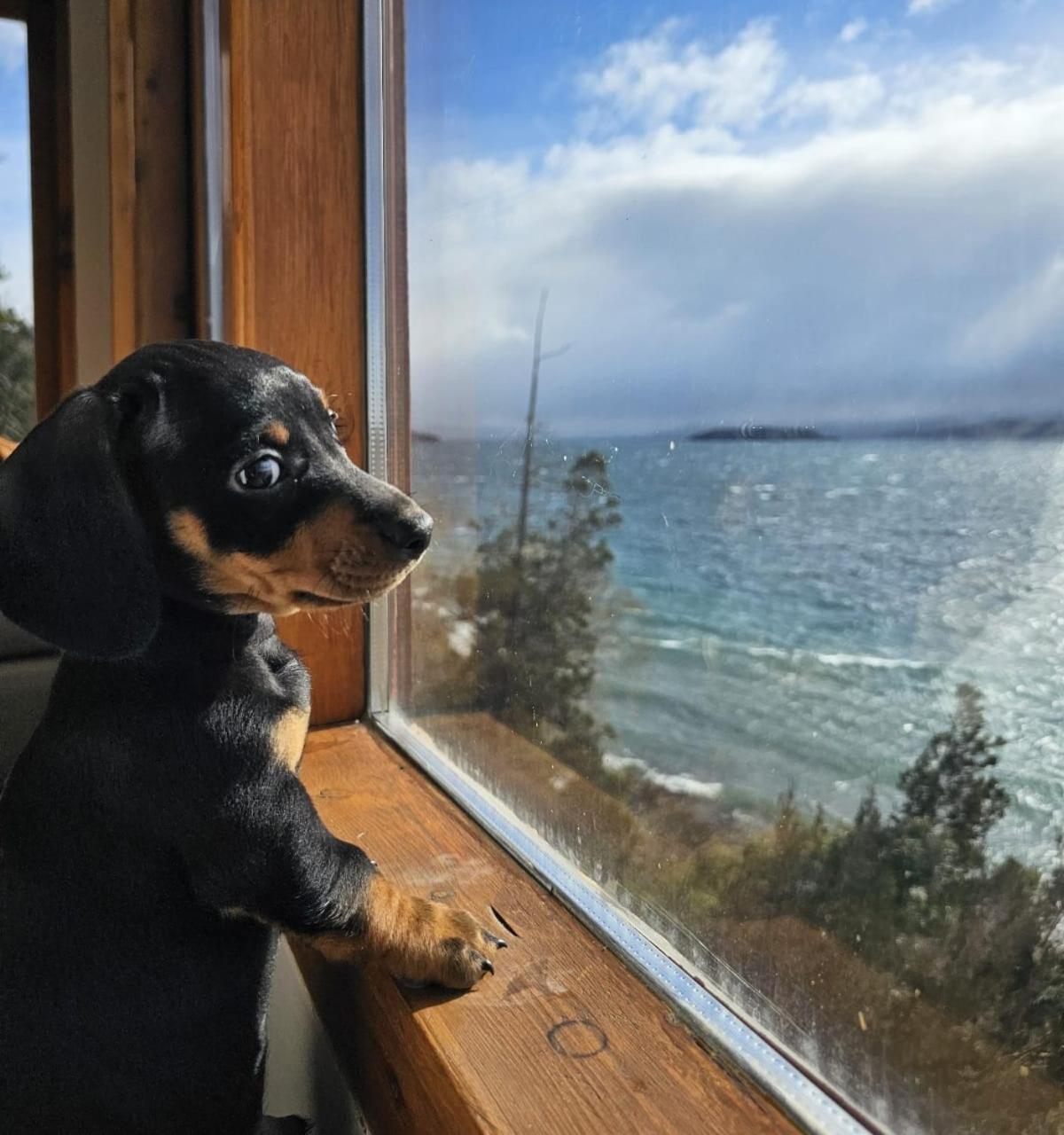Apartment Lake Apartments Bariloche *